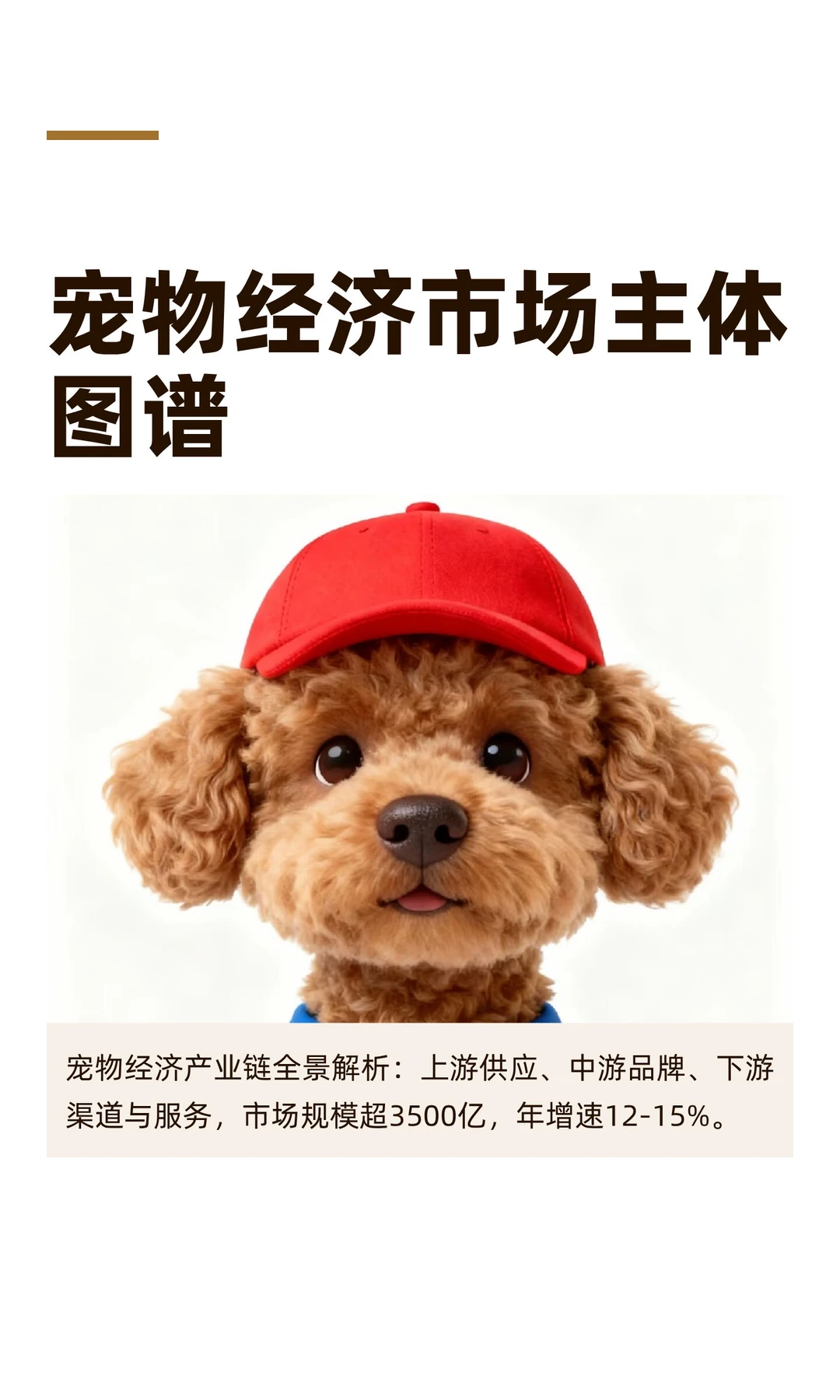 宠物经济市场主体图谱