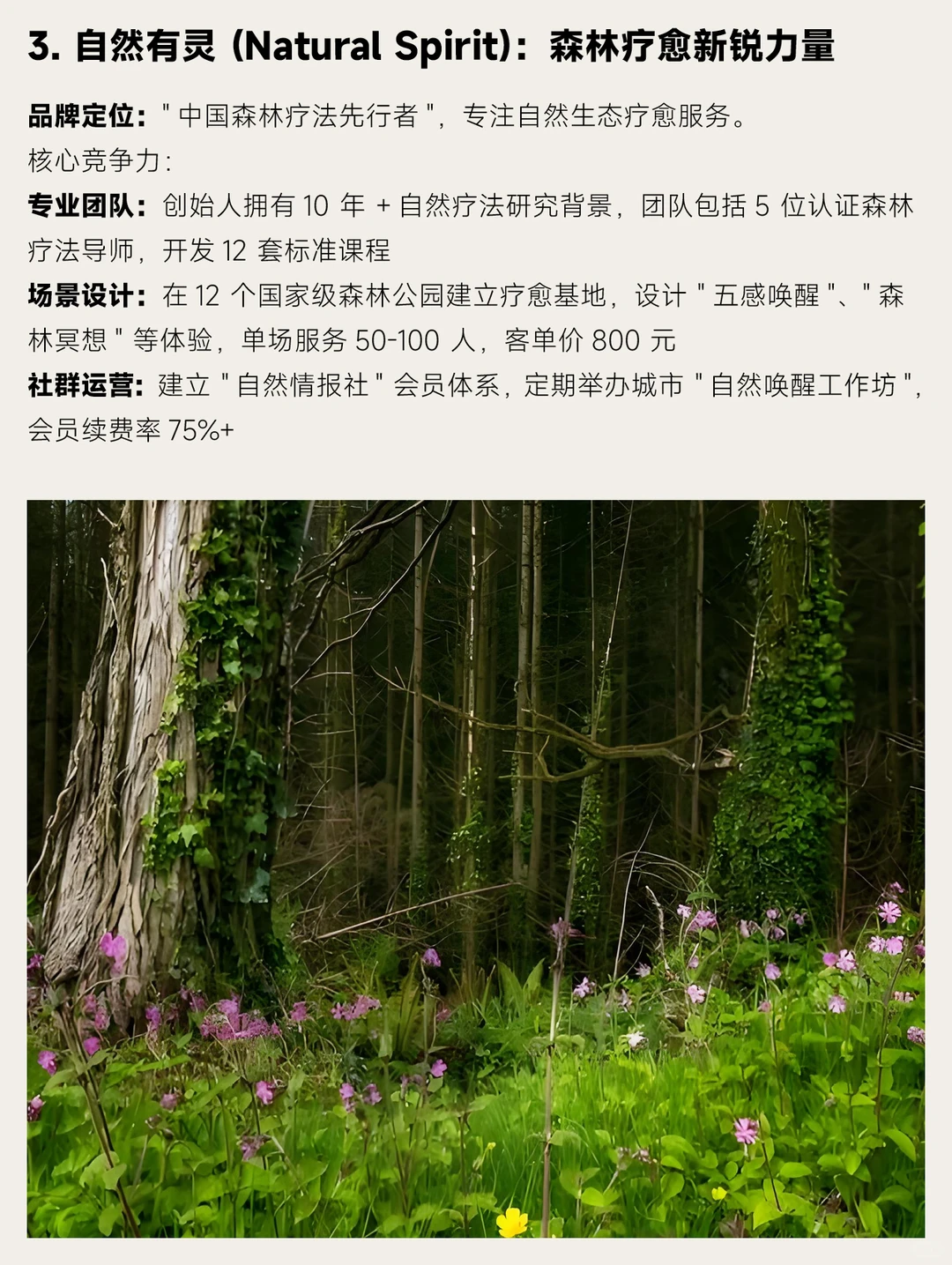 中国十大自然疗愈品牌深度拆解报告