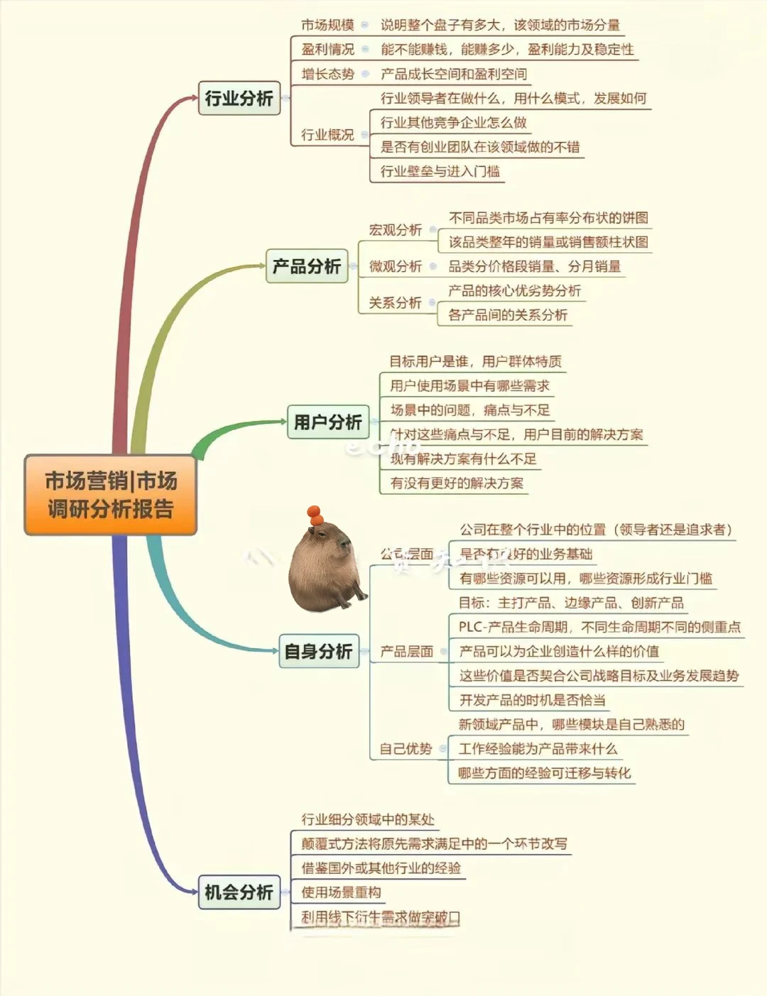 市场调研报告框架（用于公司战略规划）✨