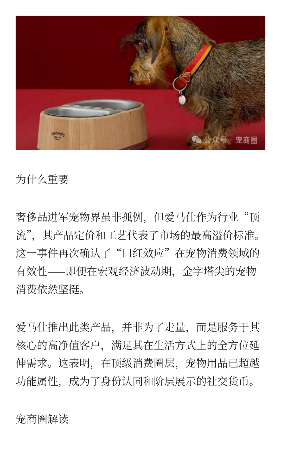 全球宠业赛道周报|佩蒂联手赵露思推高端狗