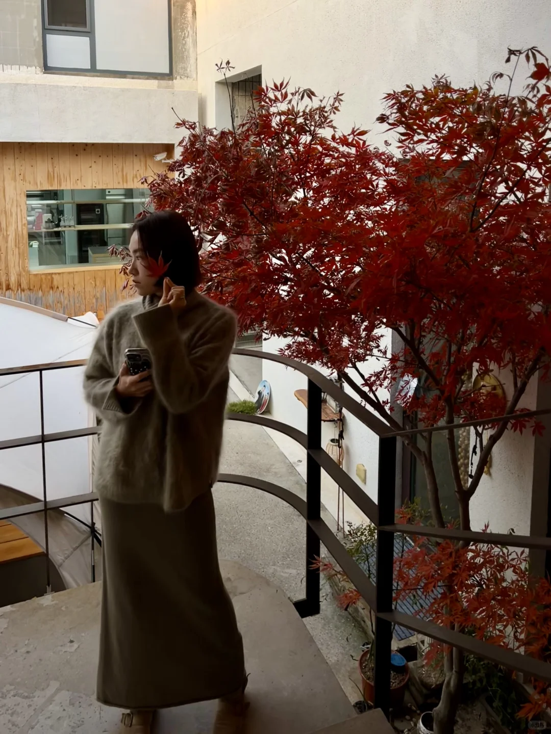 才感秋来 忽而已冬