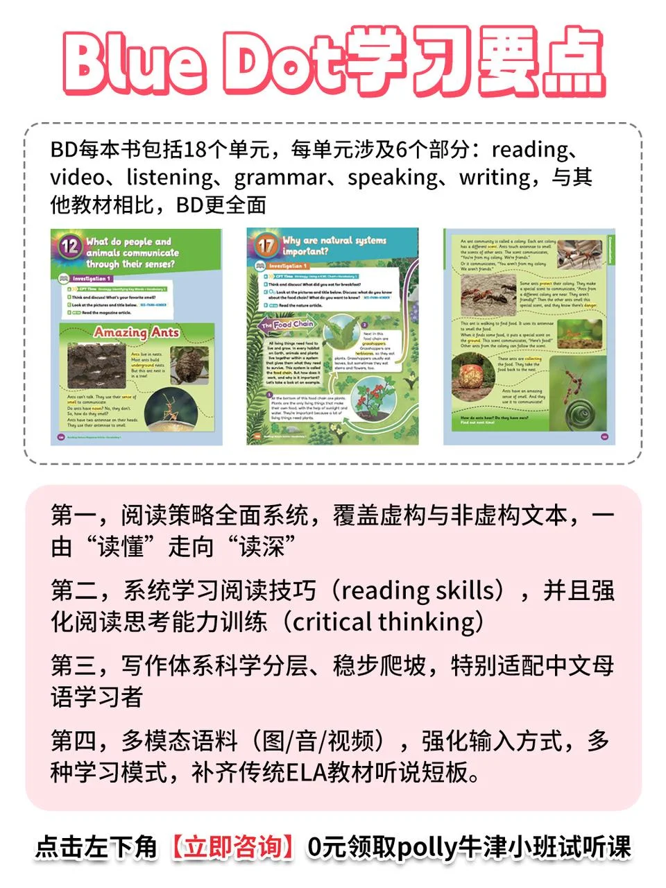 强烈建议小学英语冲polly牛津小班?