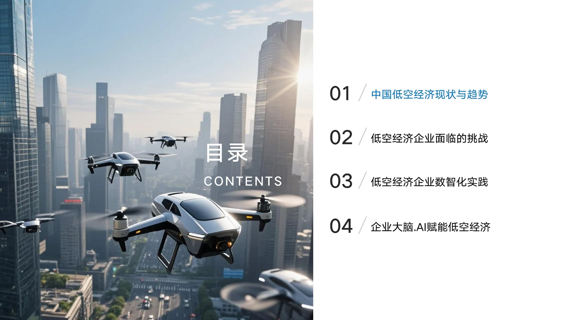 2025年企业大脑·AI赋能低空经济白皮
