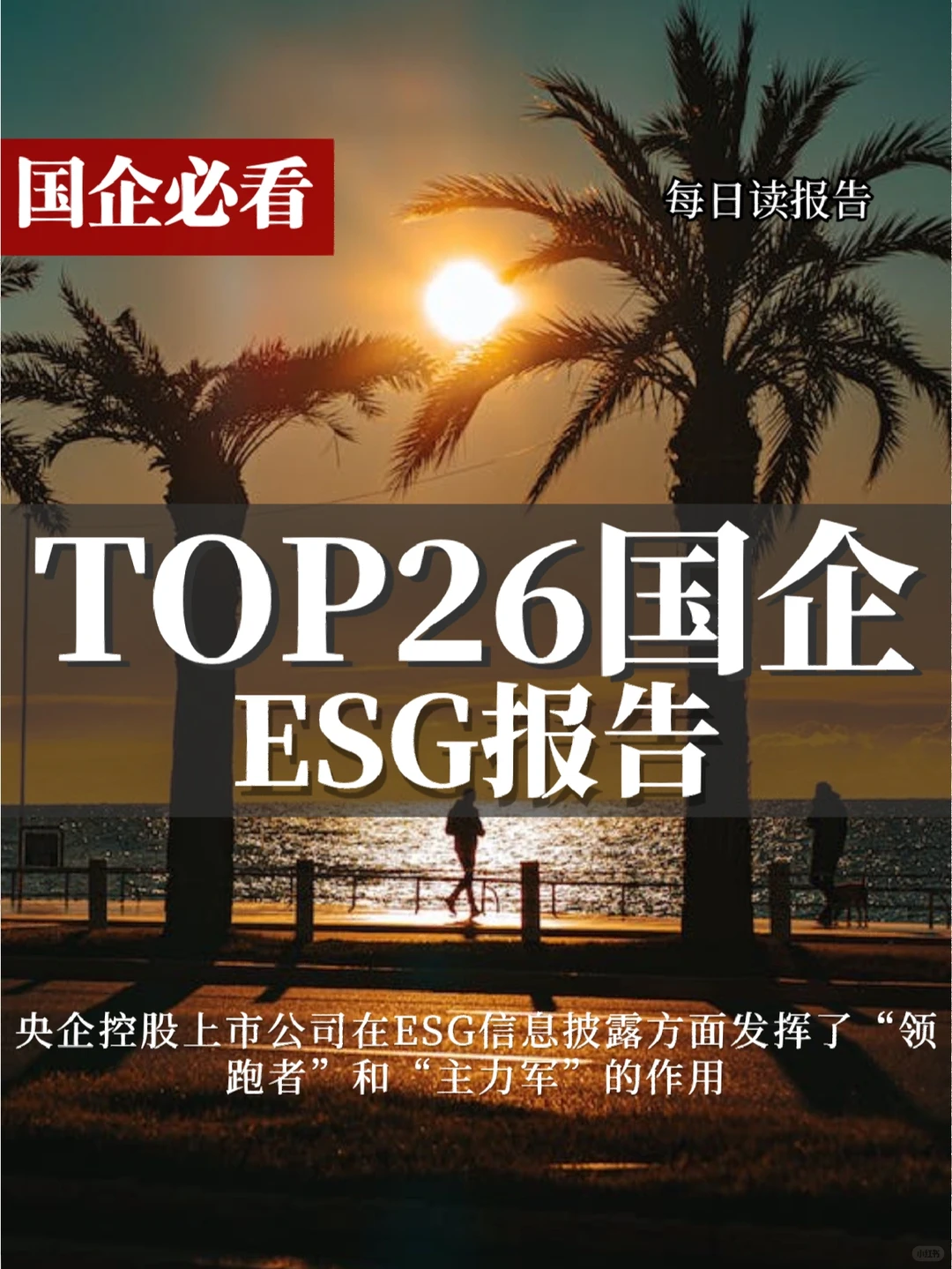 TOP26国企必看报告‼️