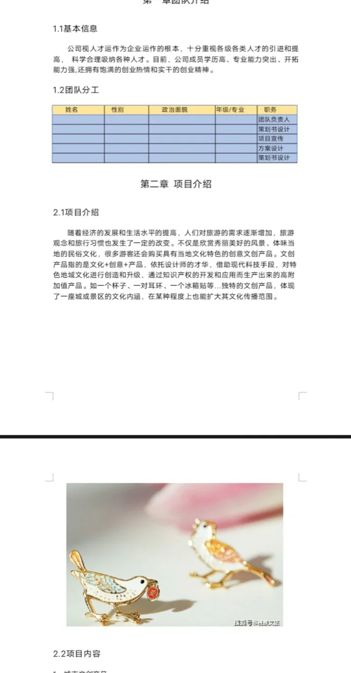 《文化创意产品计划书》.word