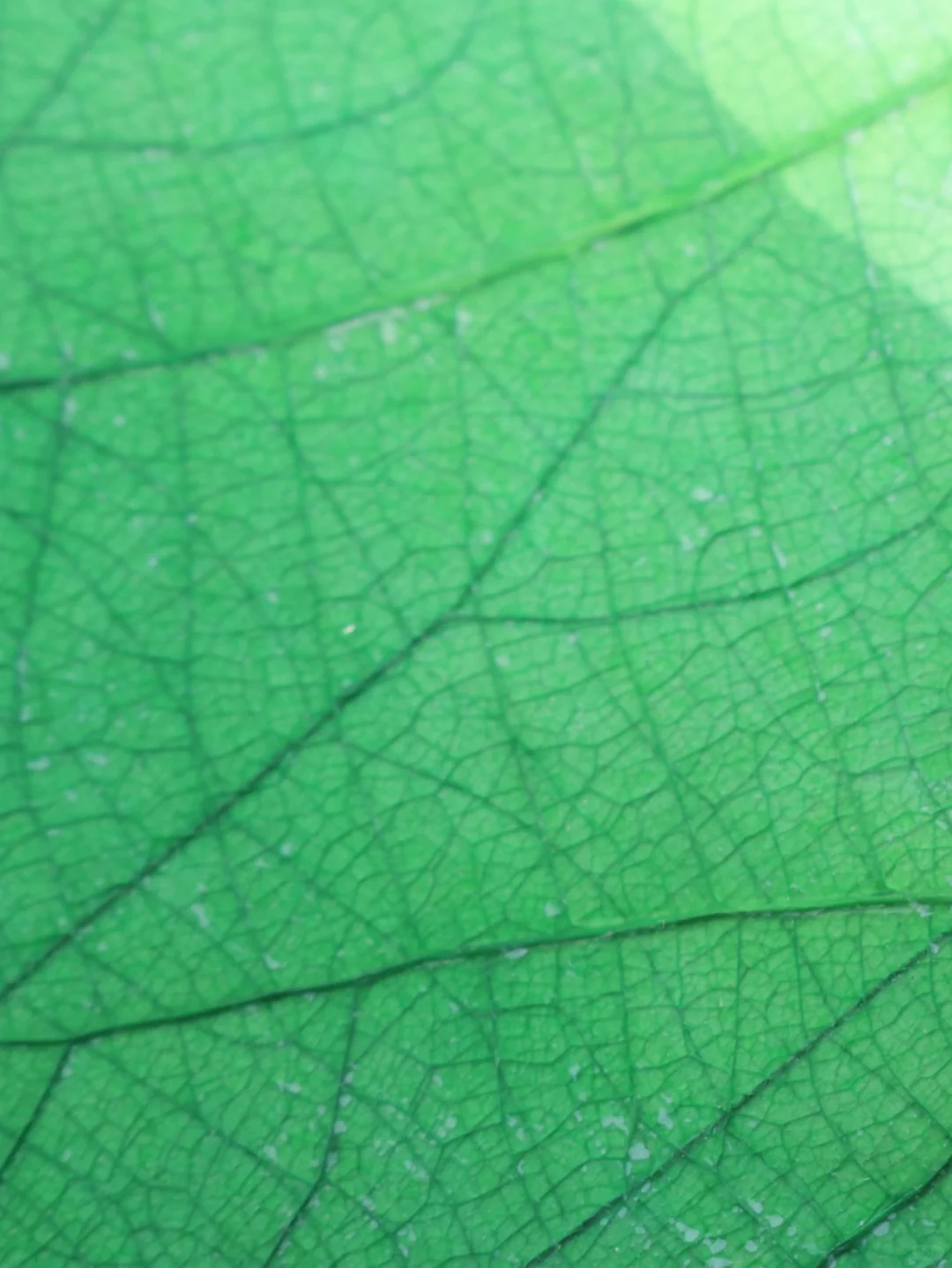 能被趋势看见,是一往直前的理由