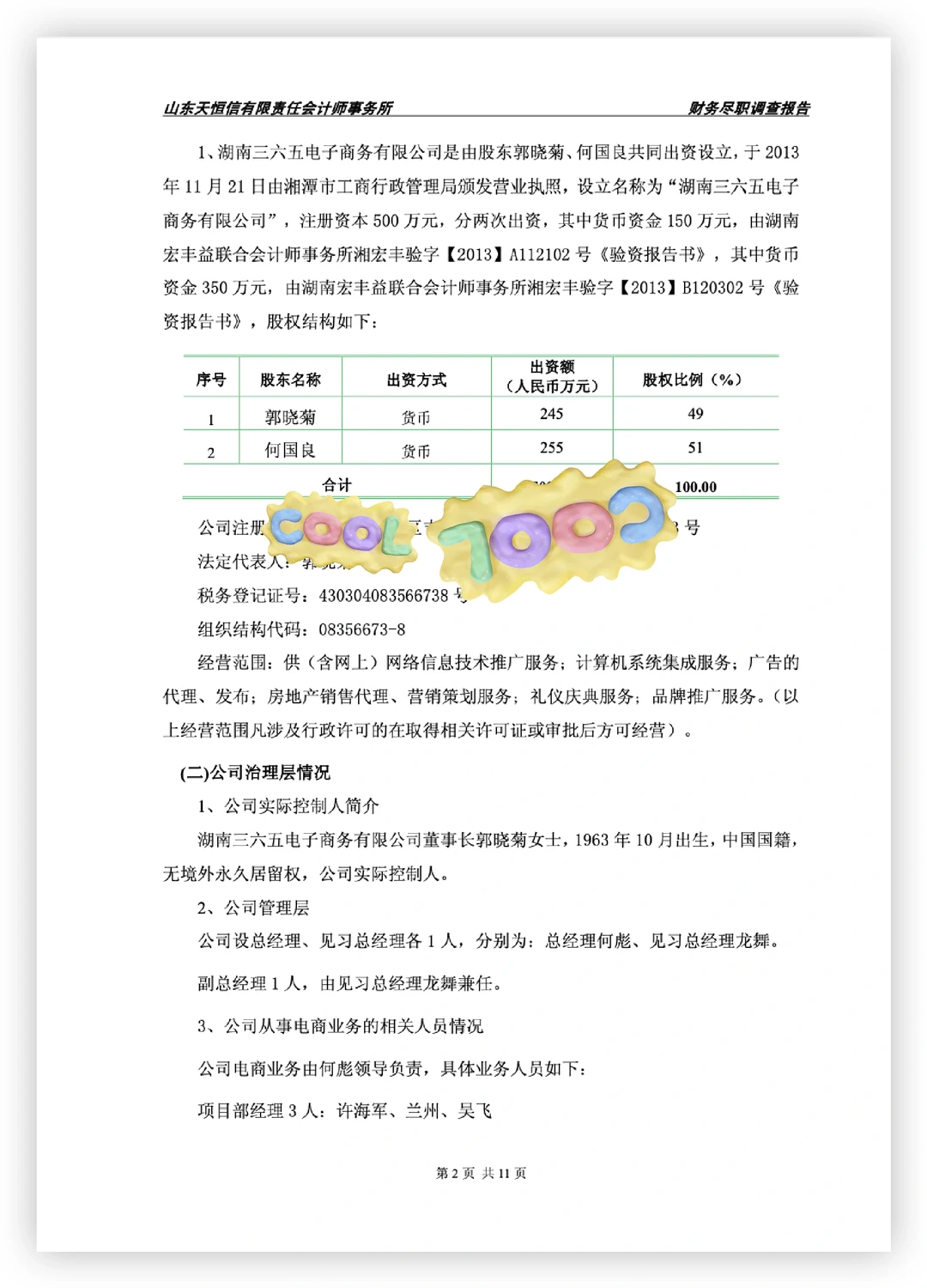 电商公司财务尽职调查报告