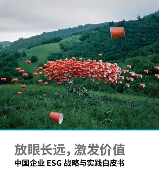 贝恩：中国企业ESG战略与实践白皮书