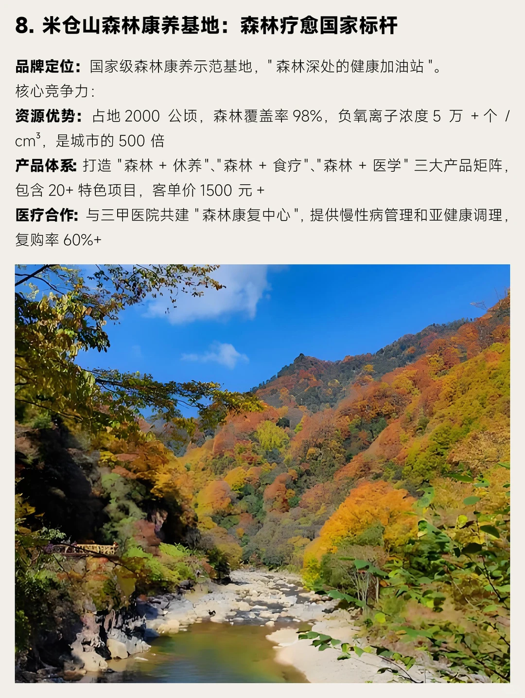 中国十大自然疗愈品牌深度拆解报告