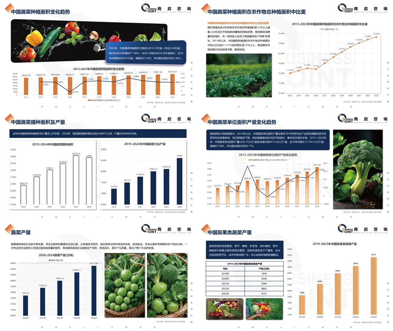 ? 商启咨询 蔬菜产业研究报告