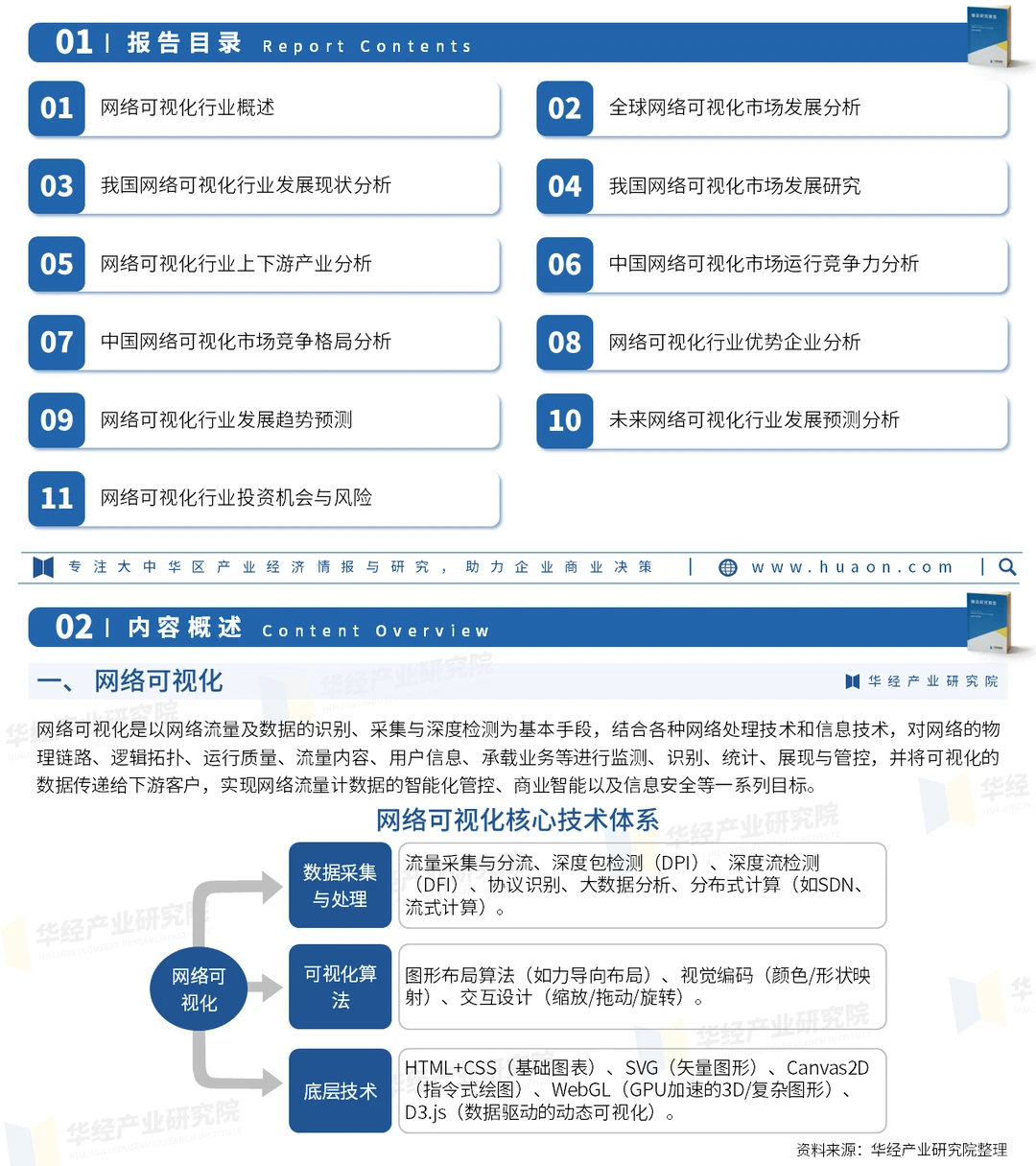 2026年中国网络可视化行业市场深度研究报告