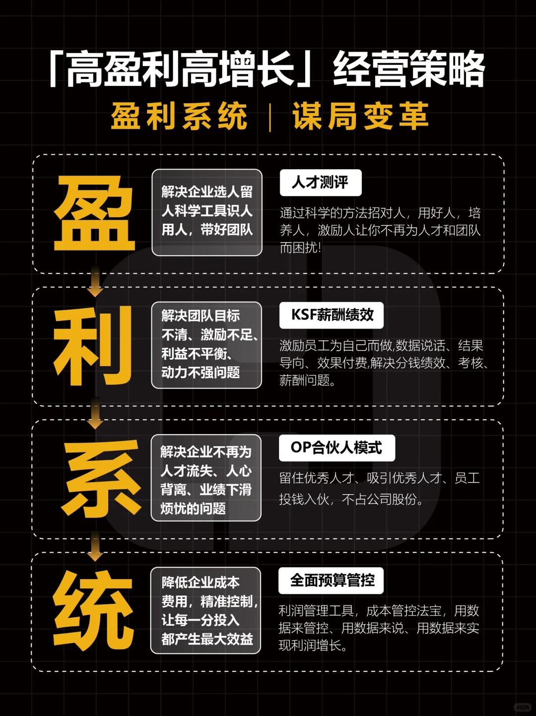 企业经营策略，高盈利高增长系统！