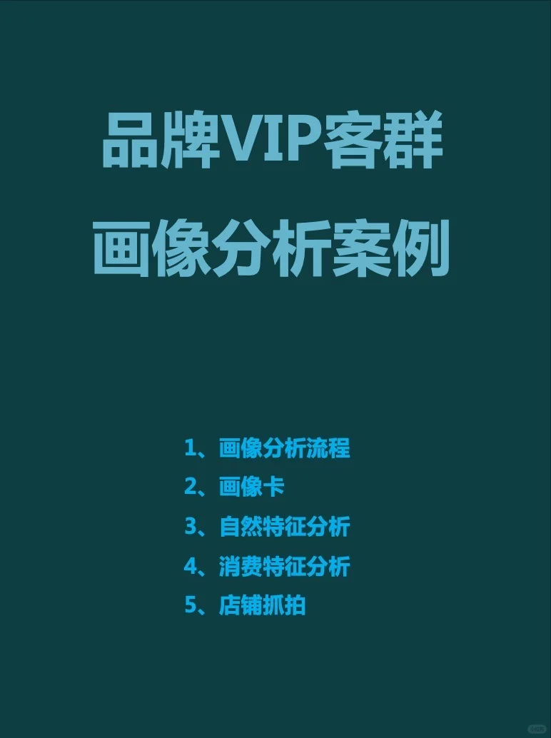 服装品牌VIP客群画像分析案例