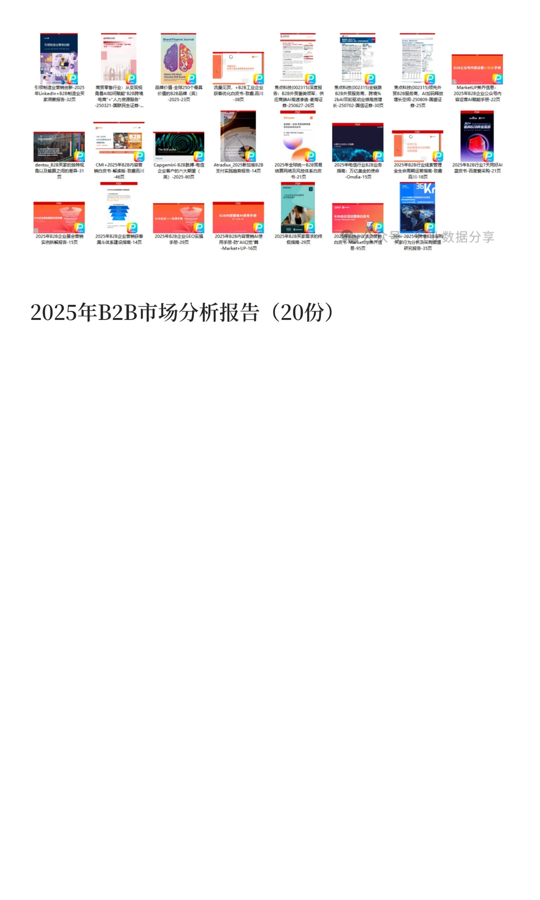 2025年B2B市场分析报告（20份）