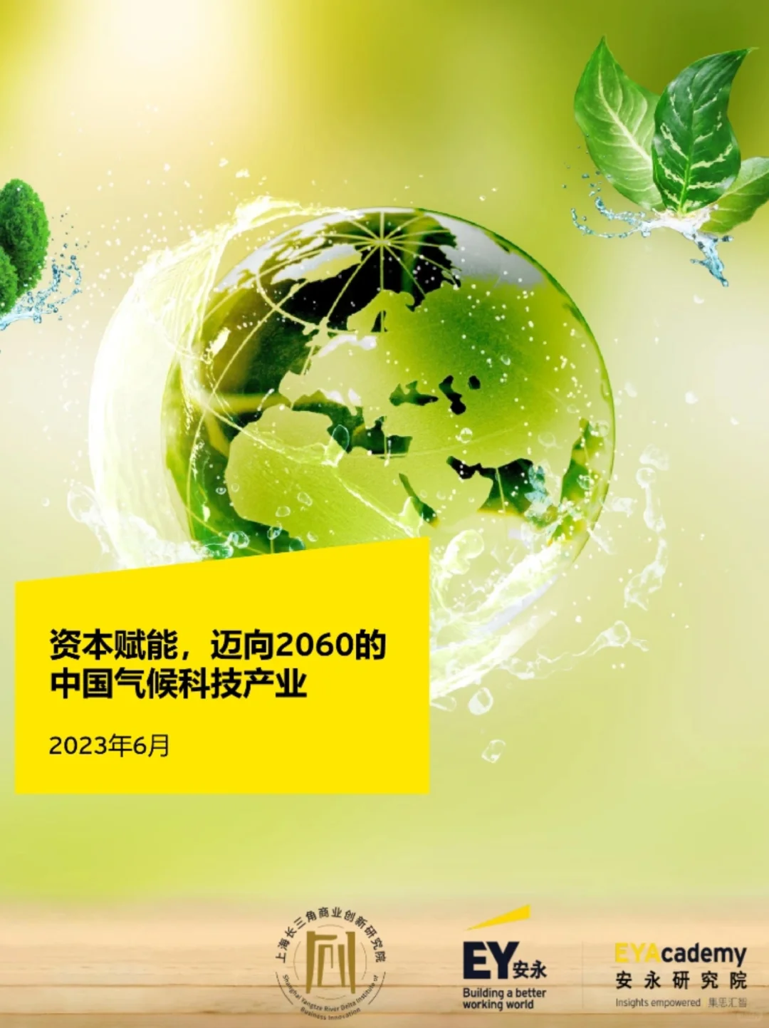 16篇ESG报告-四大安永报告合集