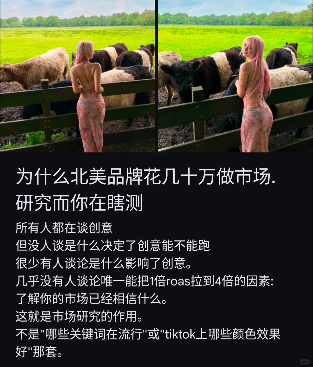 为什么1倍roas和4倍roas之间只差一个问题