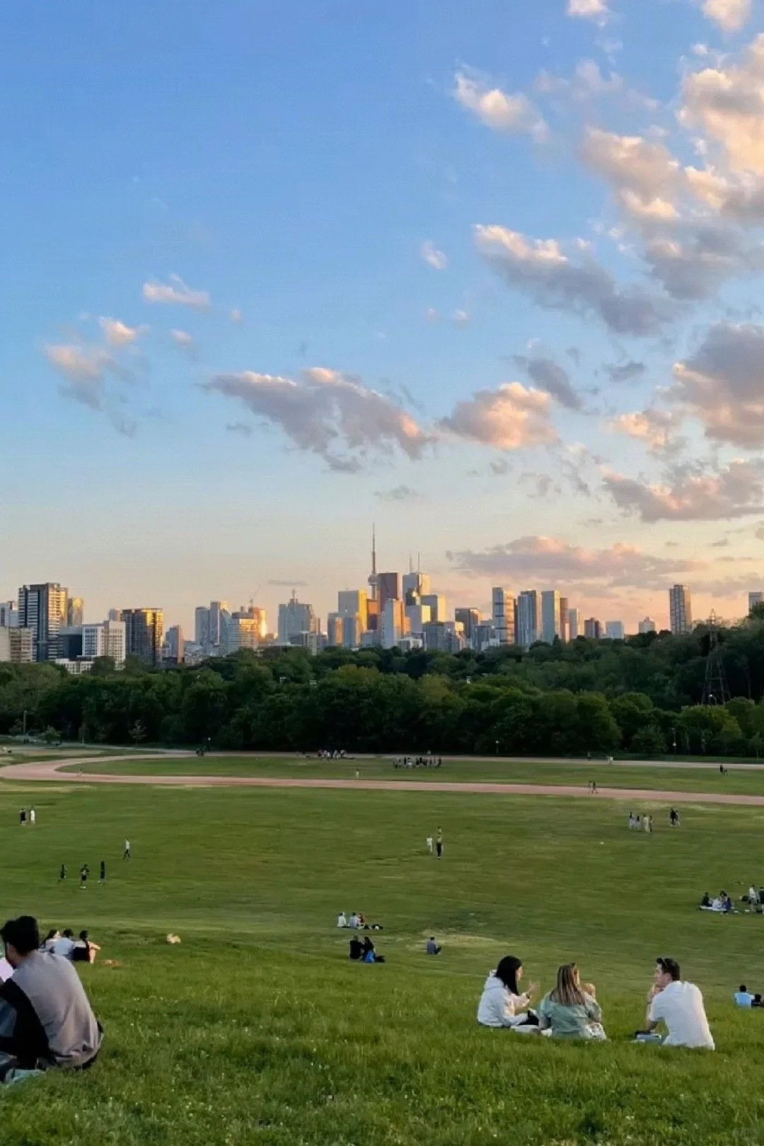 好像真让我找到内向金融人的舒适区了...