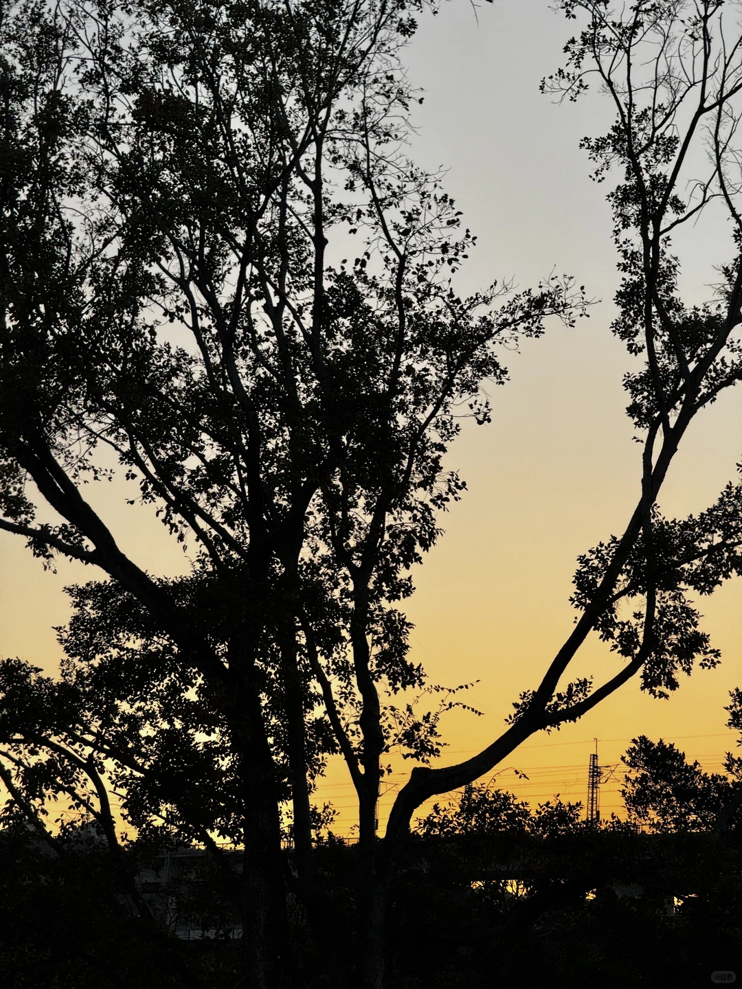 报告，十二月第一练