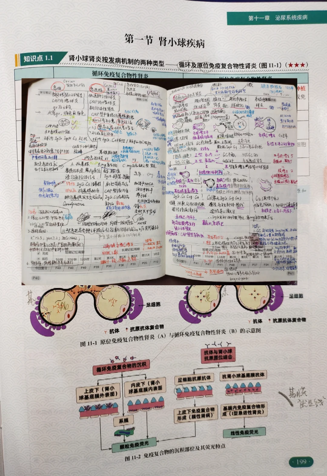 西综266：正式介绍我的真正王炸