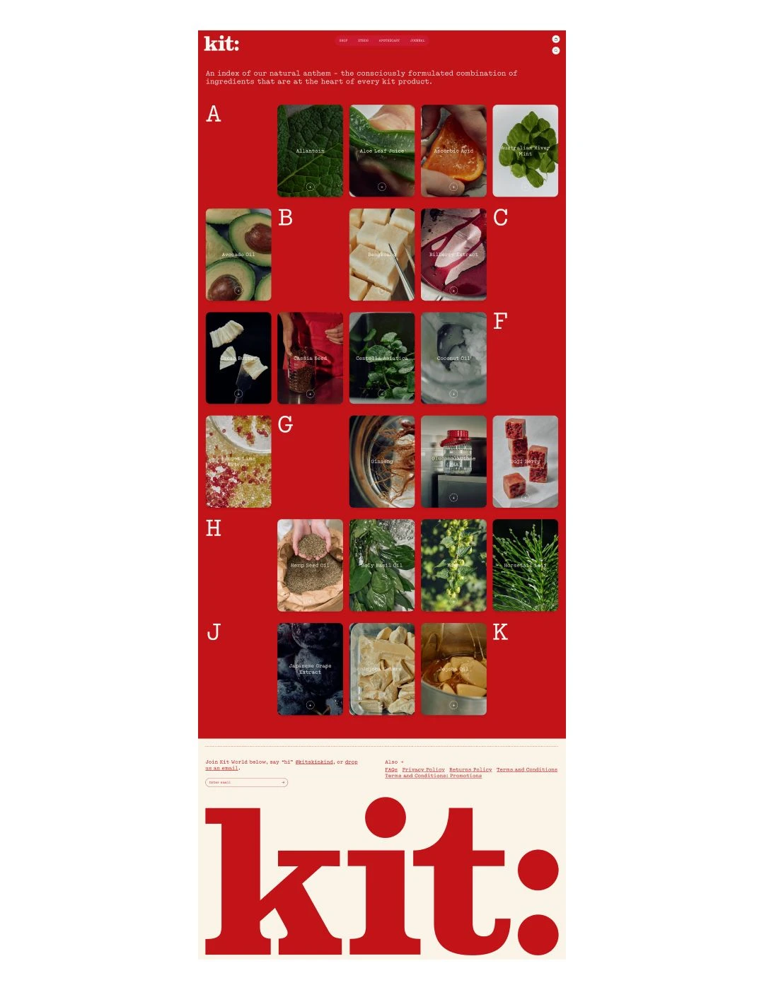 灵感分享｜美妆行业KIT品牌独立站解析