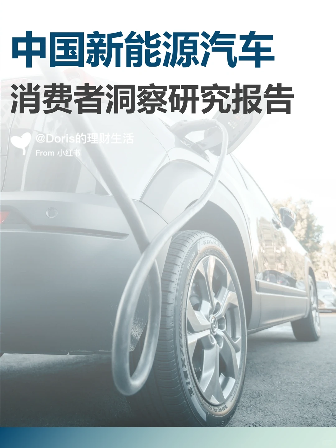 新能源汽车消费者洞察研究报告???