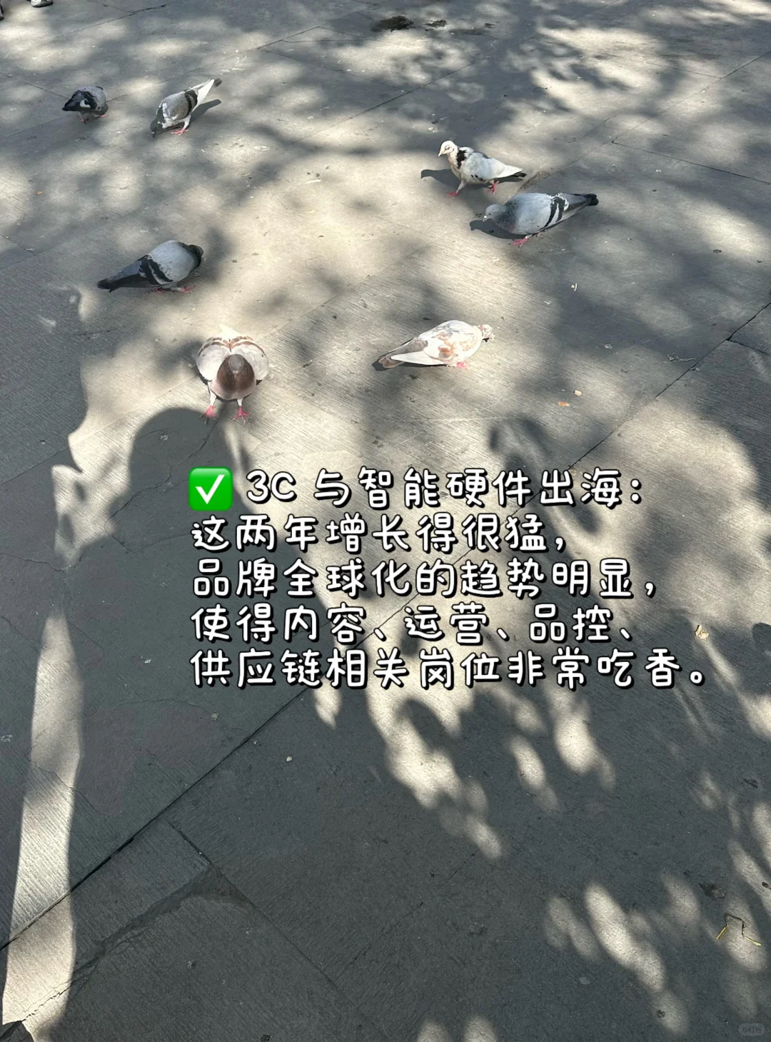 找实习要看清自己的节奏需求