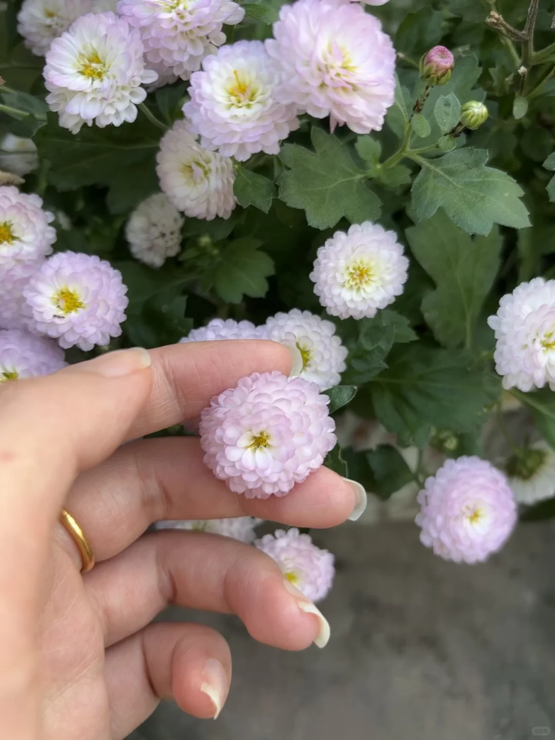 数据分析终于找到工作了！顺利拿到9k的offer