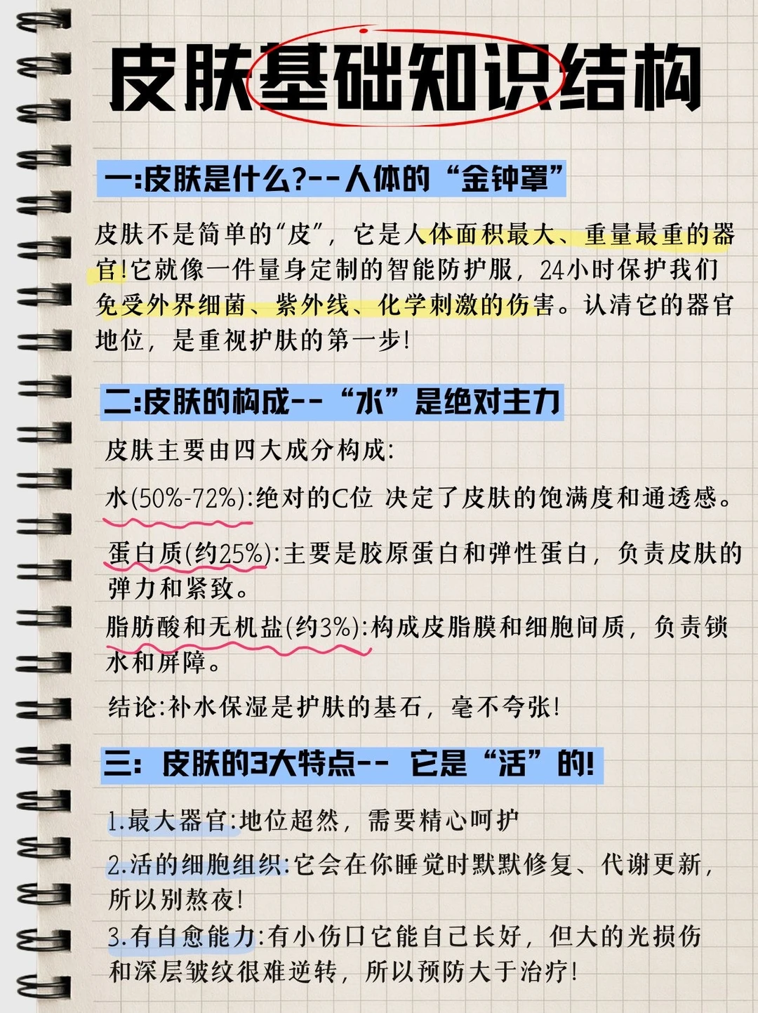 两张图，把皮肤基础结构说清楚～
