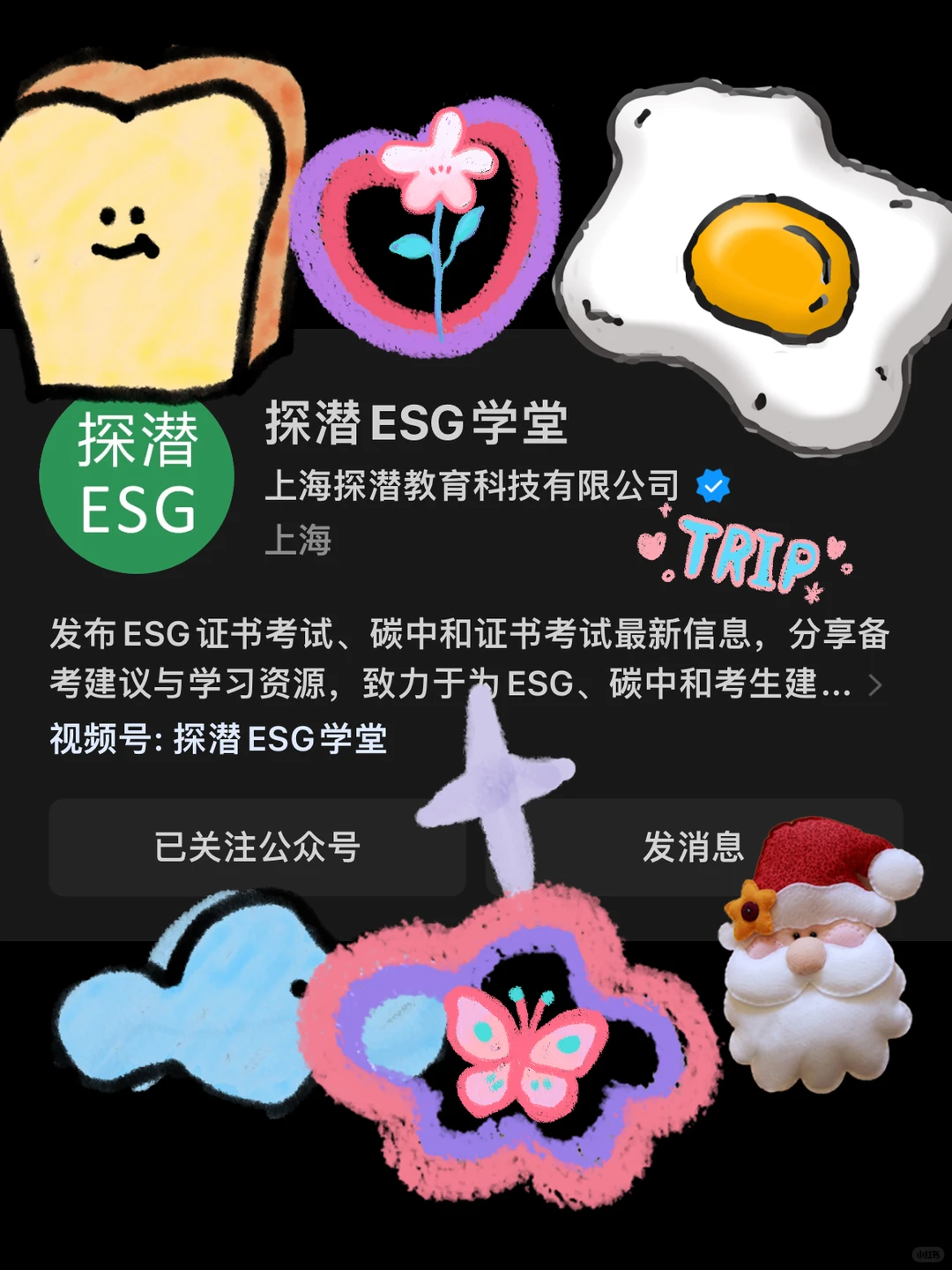 零基础写ESG报告？CPBA证书帮你快速通关✨