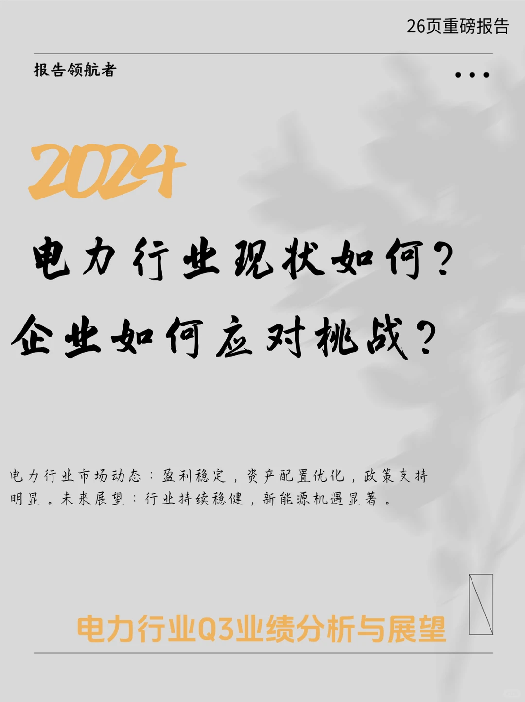 2024中国电力行业Q3业绩总结