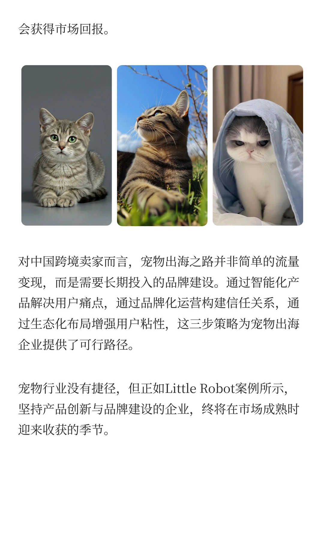 宠物出海爆款案例：年销3亿美金！