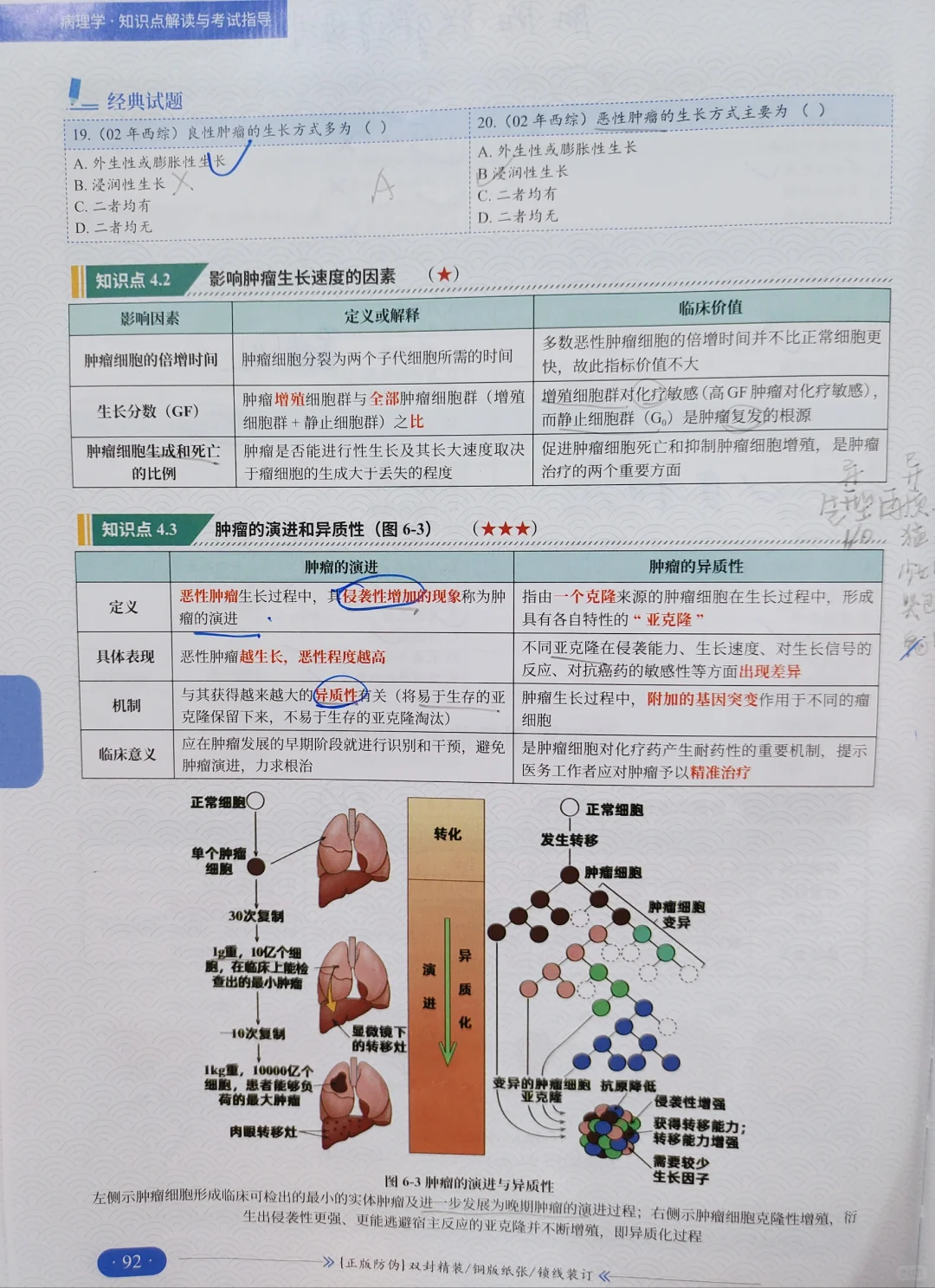 西综266：正式介绍我的真正王炸