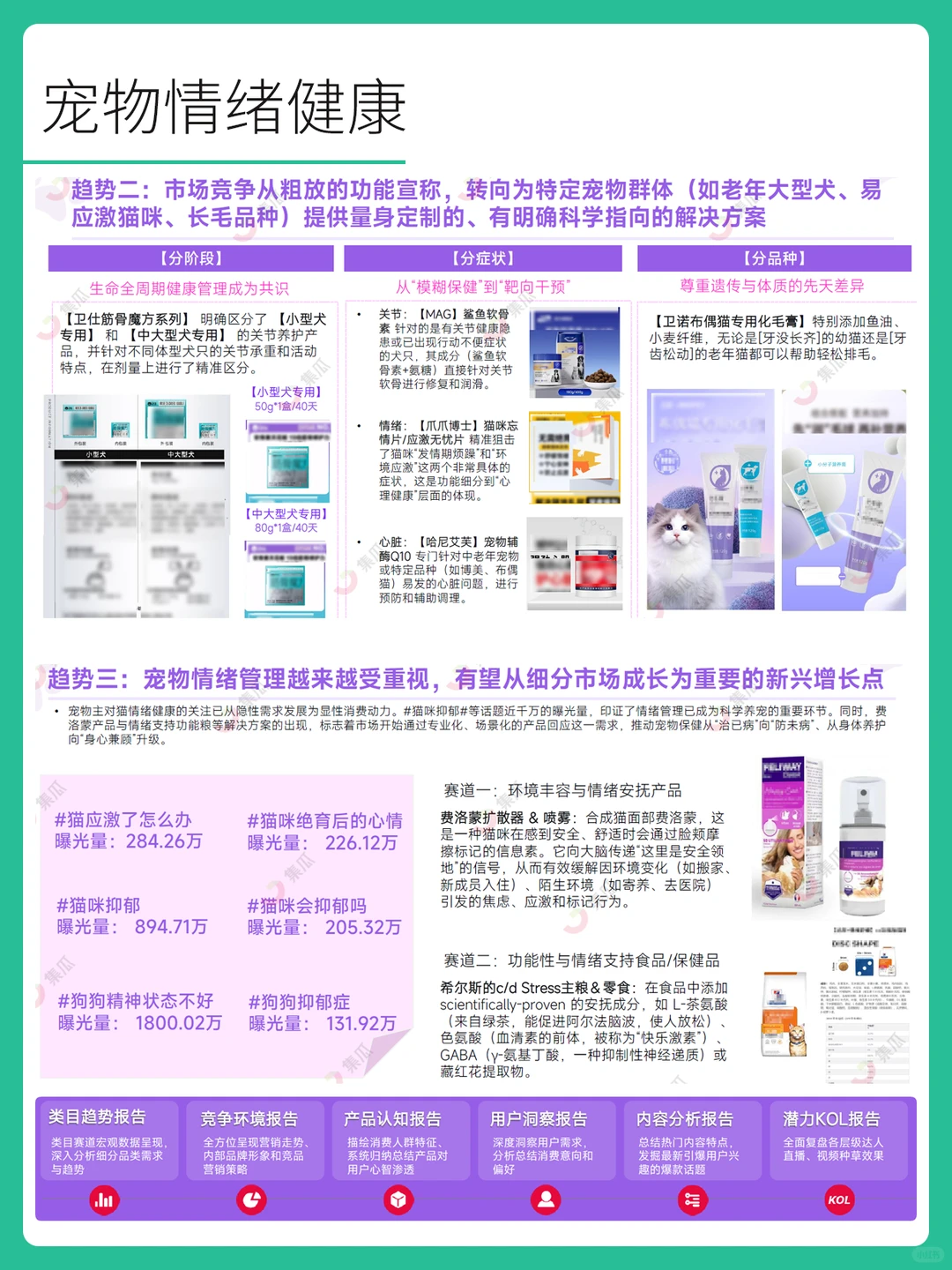 2025年宠物保健品市场趋势洞察报告