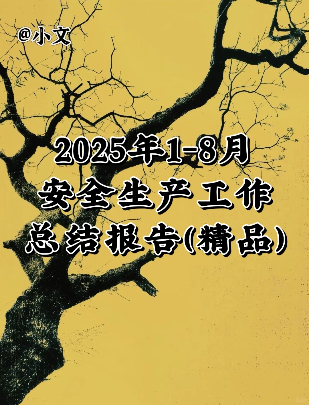 2025年1-8月安全生产工作总结报告