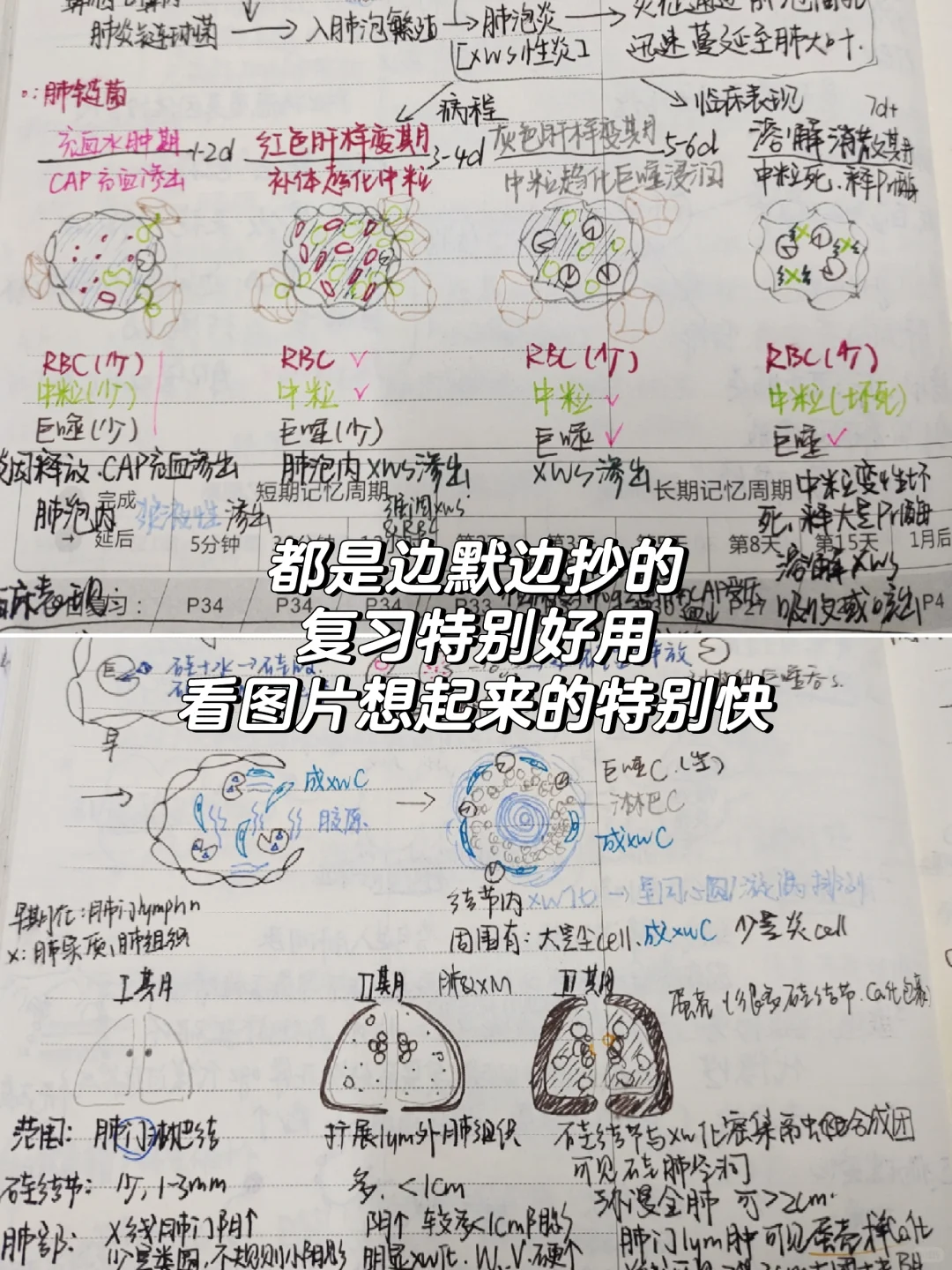 西综266：正式介绍我的真正王炸