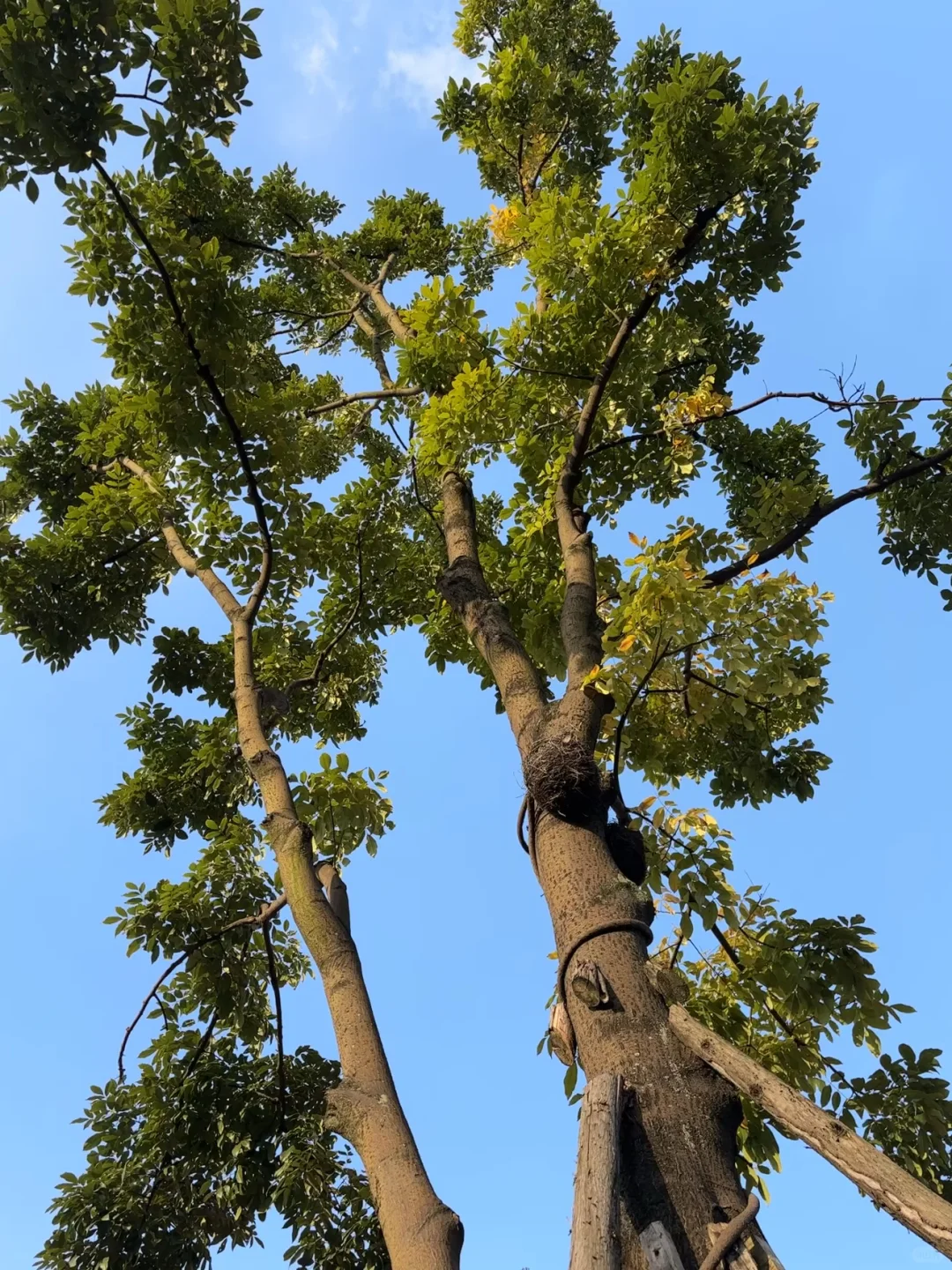 数据分析终于找到工作了！顺利拿到9k的offer