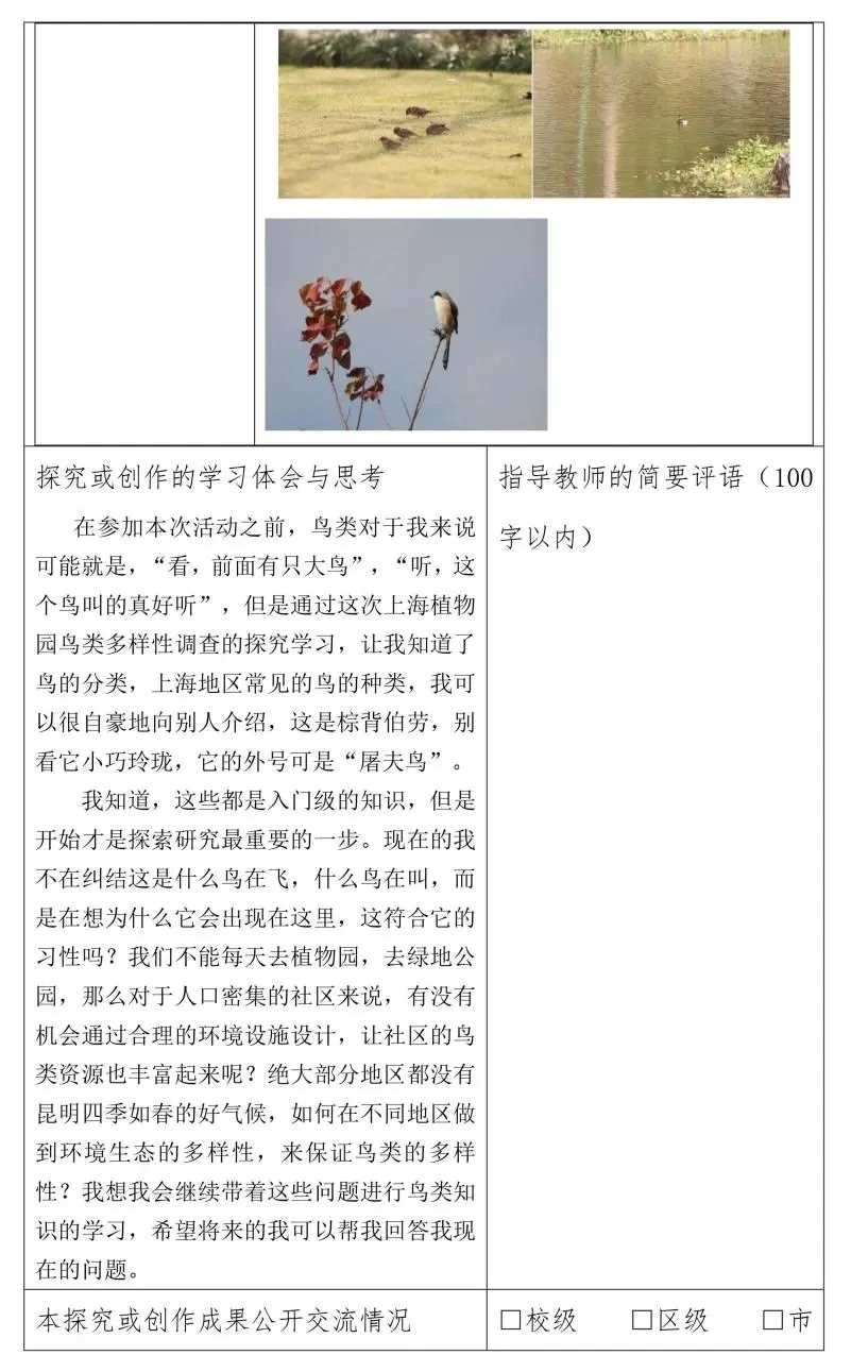 上海中考综评探究报告范文（三）