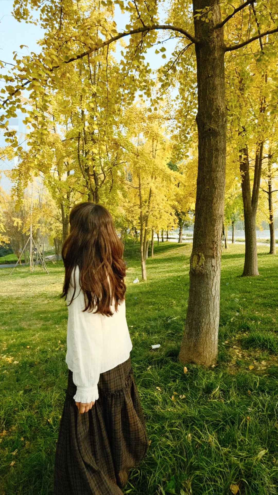 我越来越清晰地感受到