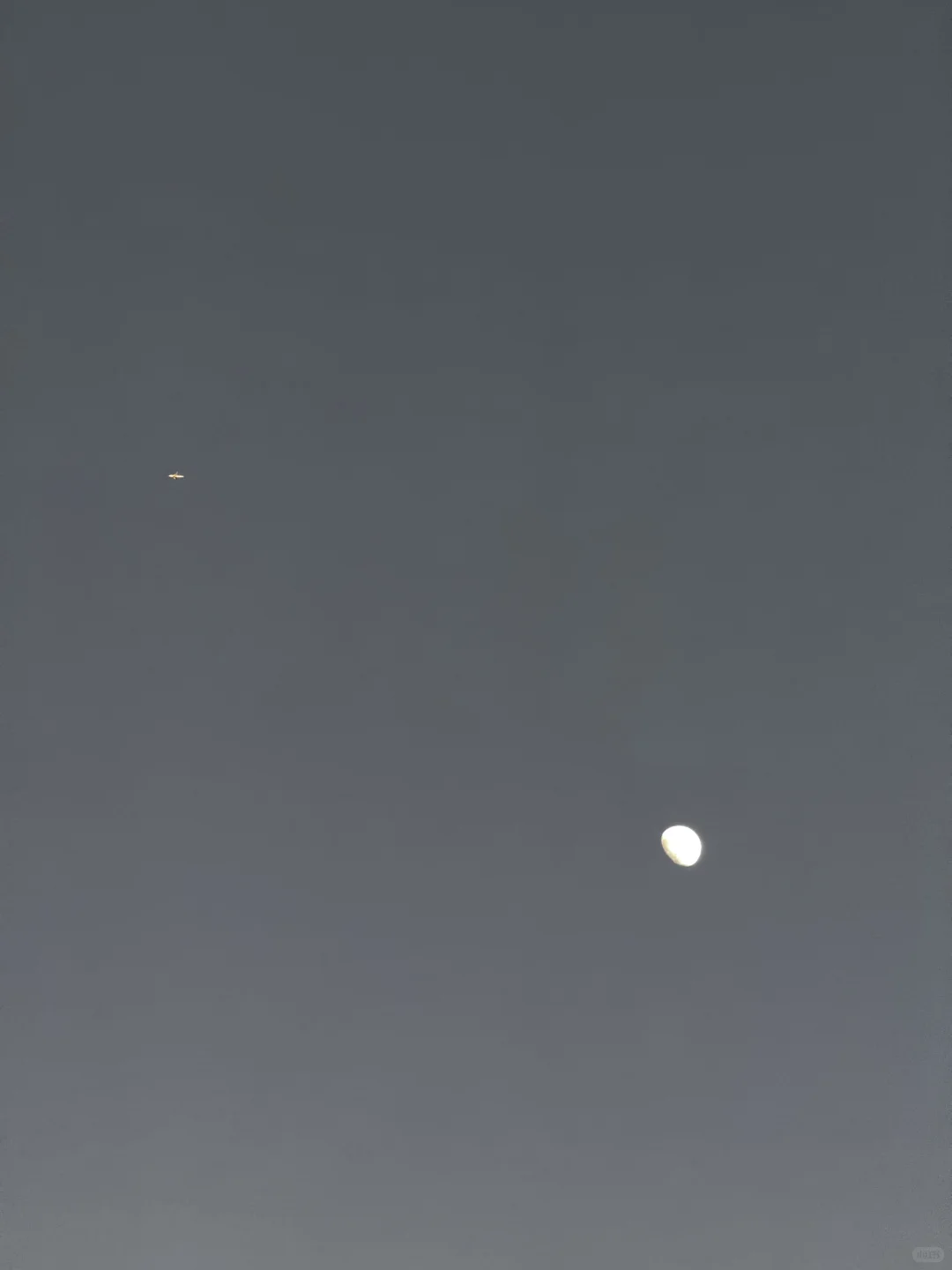 报告，十二月第一练