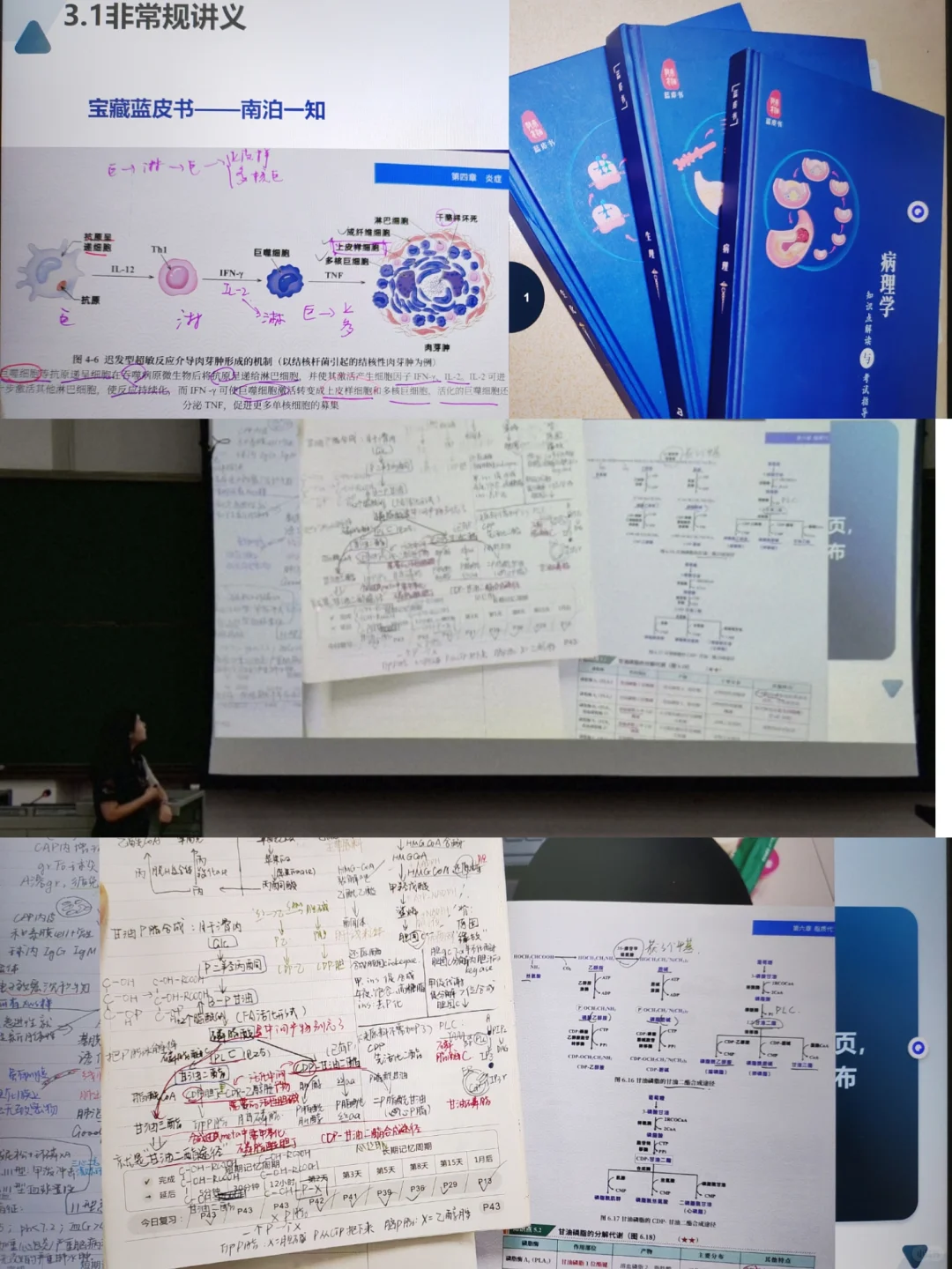 西综266：正式介绍我的真正王炸