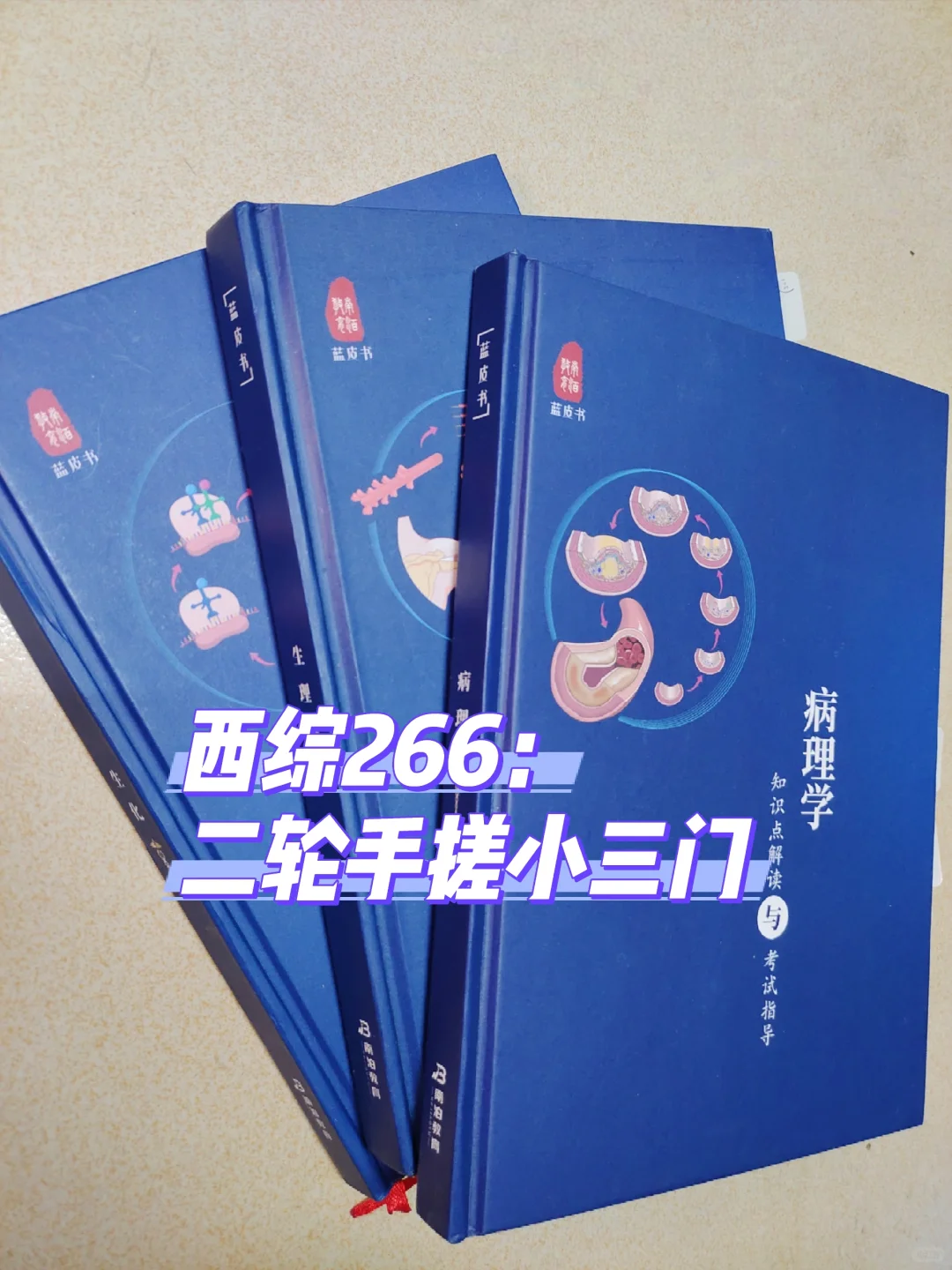 西综266：正式介绍我的真正王炸