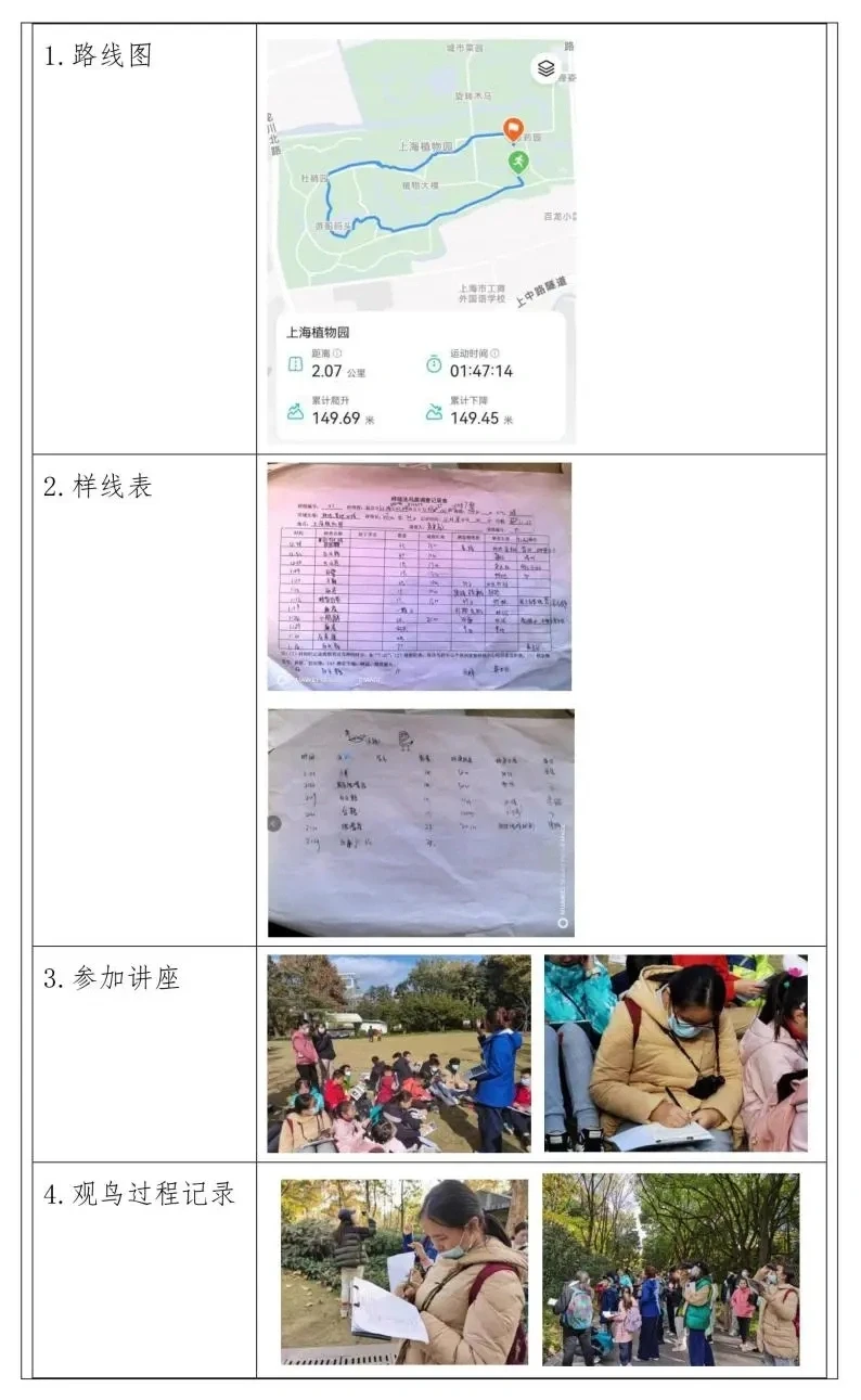 上海中考综评探究报告范文（三）