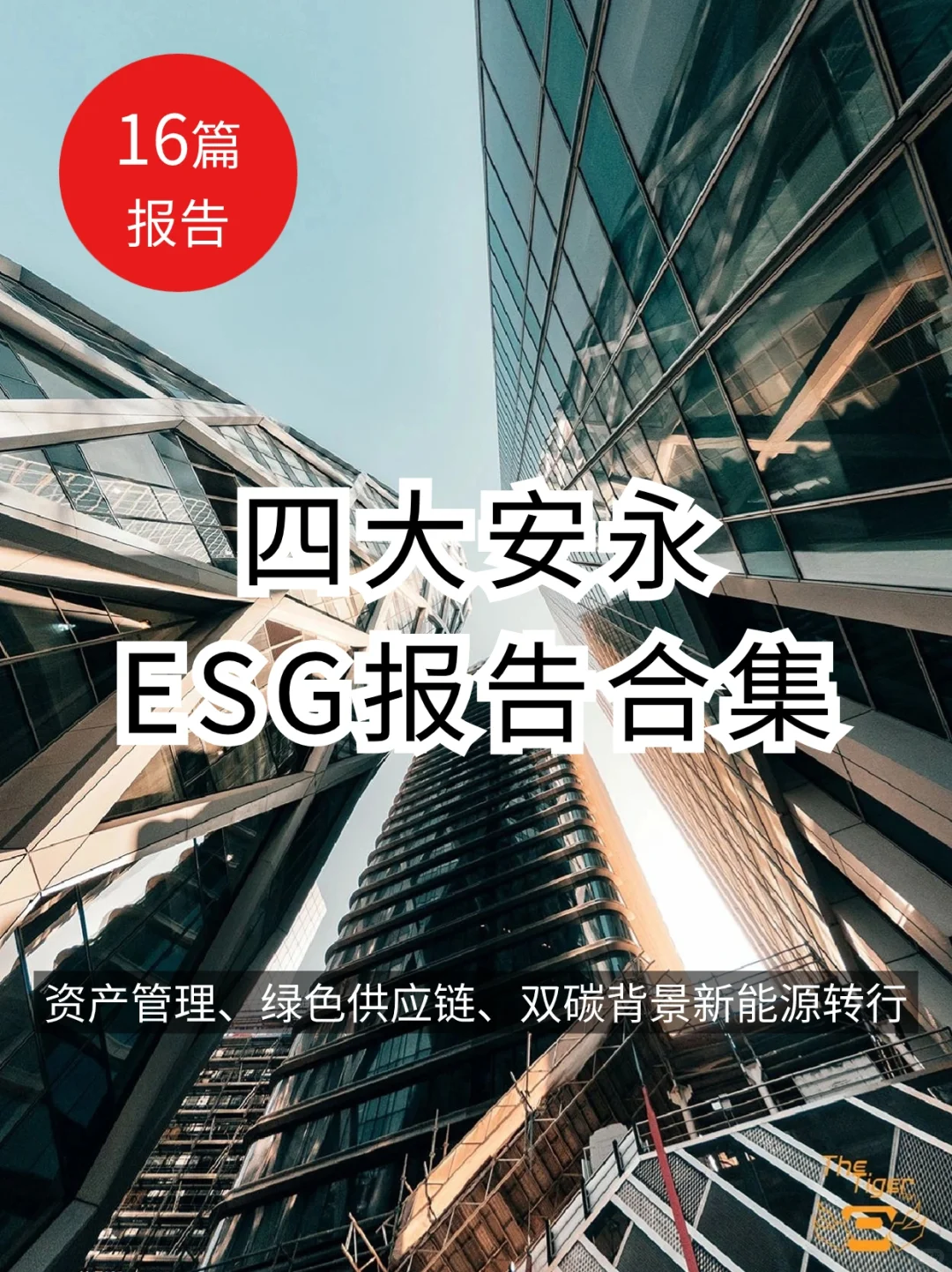 16篇ESG报告-四大安永报告合集
