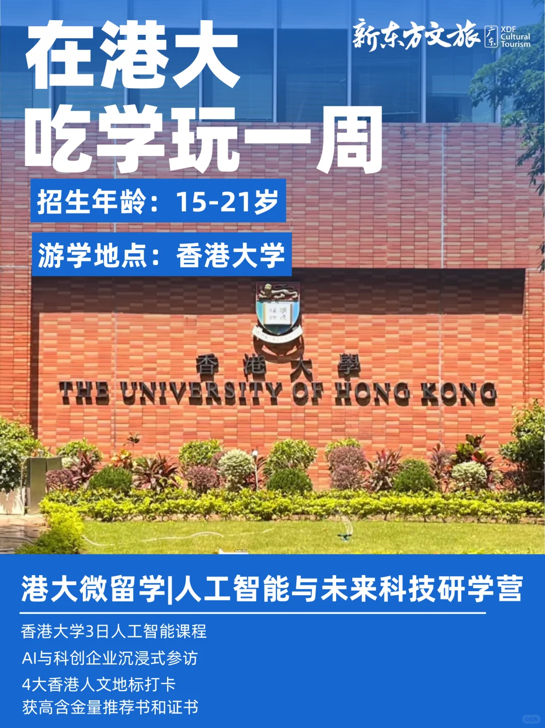 暑假沉浸式体验香港的一周❗吃学玩都在港大