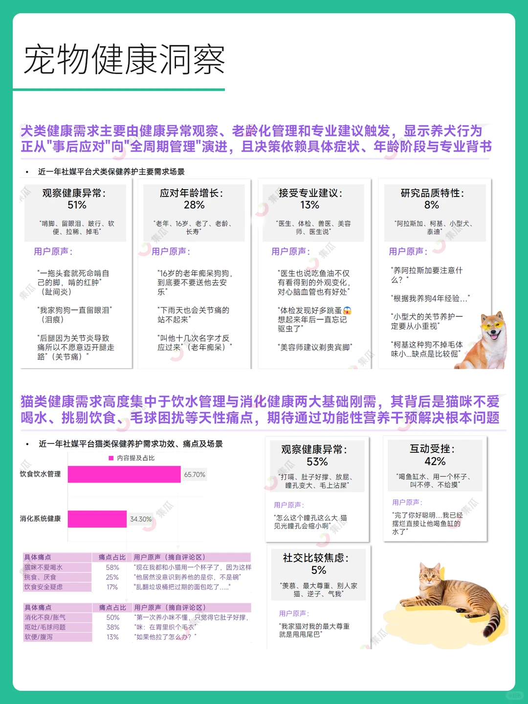 2025年宠物保健品市场趋势洞察报告