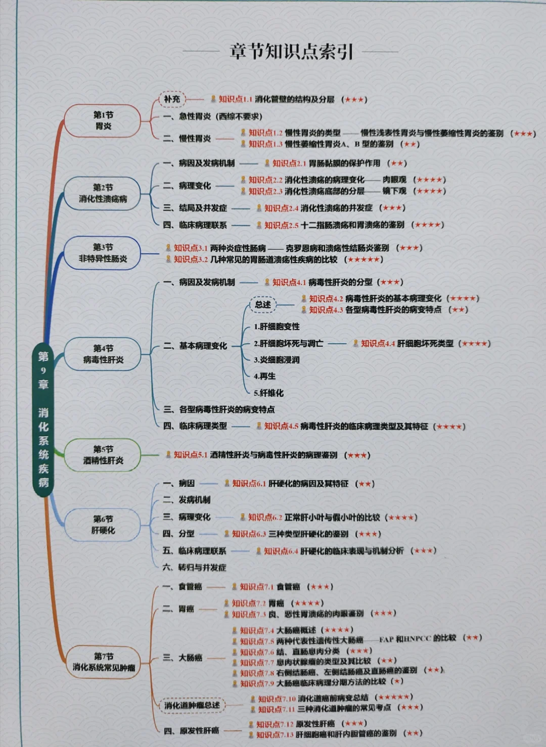 西综266：正式介绍我的真正王炸