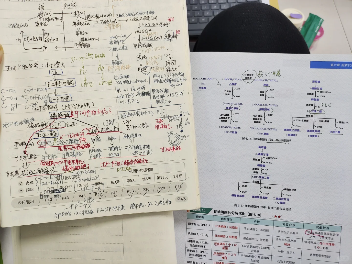 西综266：正式介绍我的真正王炸