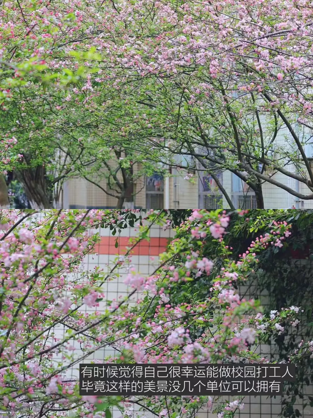 啊！！我买到盗版的了！！老师速查！蓝皮书