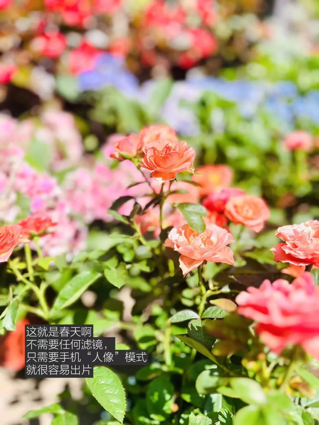 啊！！我买到盗版的了！！老师速查！蓝皮书