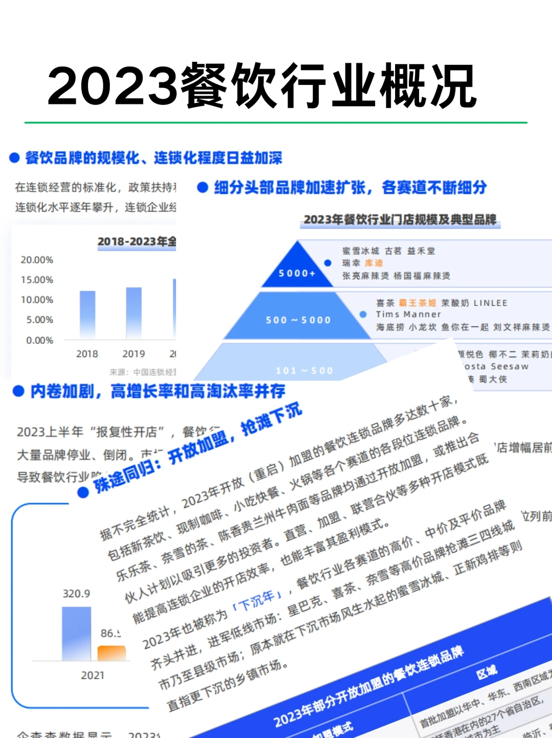 2023餐饮行业四大品类开店报告
